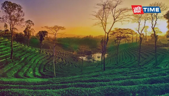Best Time to Visit Assam
